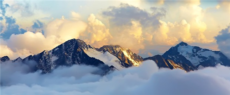 Banner Picture